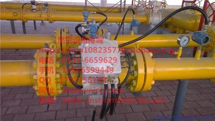 供應(yīng)elster埃爾斯特Q.Sonic氣體超聲波流量計(jì)圖片,供應(yīng)elster埃爾斯特Q.Sonic氣體超聲波流量計(jì)圖片大全,山東維希燃?xì)庠O(shè)備-