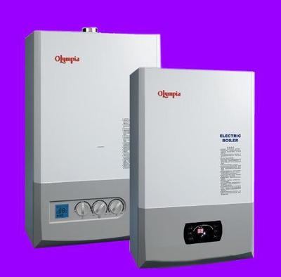 濟南淄博濱州壁掛式燃油燃氣真空鍋爐采暖供暖取暖熱水電鍋爐